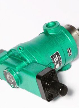 上海邵扬油泵10/16/25/40/63/80/100/160/250YCY14-1B轴向柱塞泵