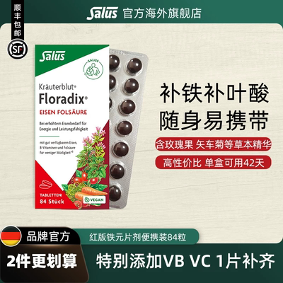 铁元德国铁元绿铁片补铁便携