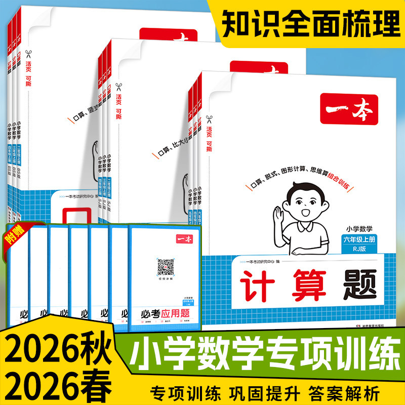 一本小学计算能力训练100分图片