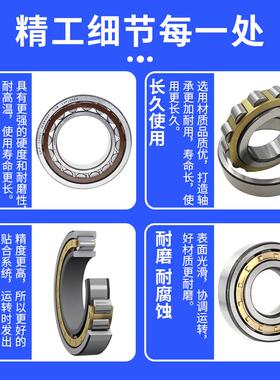 进口SKF轴承 RN 307 308 309 310 312 313 317 319 322 328 M