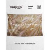 饰背景布海报挂布挂毯 修搭配周边卧室客厅沙发墙装 简约芦苇中式 装