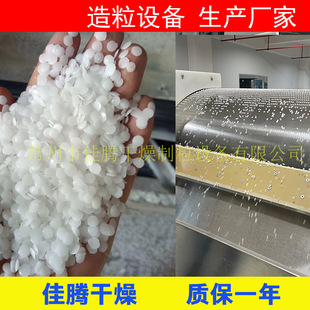 6501片增稠剂钢带造粒机 椰子油脂肪酸单乙醇酰造粒机半球颗粒片