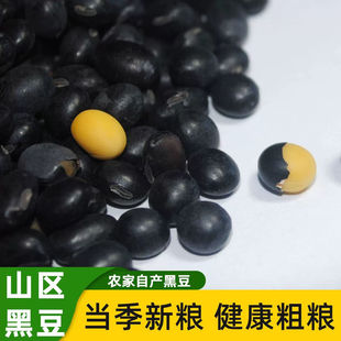 正宗东北黄心黑豆小黑豆纯天然杂粮打豆浆醋泡发豆芽净重