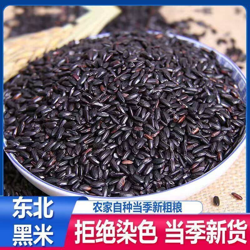 【鲜黑米】东北黑米新米农家黑大米不染色黑香米五谷杂粮净重发货