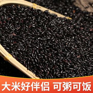 2025年当季新黑米东北五谷杂粮煮粥饭农家黑香米批发代餐新米