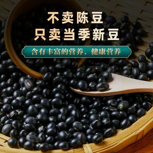 【纯正黑豆】新黑豆东北黄心黑豆非转基因发豆芽打豆浆杂粮批发