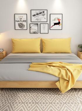 网红爆款床直销榻榻米床实木双人床1米床1.2米1.5米1.8米床