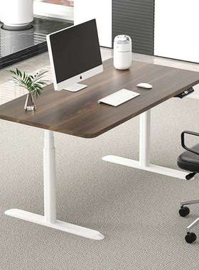 实木智能电动升降桌移动通用升降桌椭圆形升降桌腿智能升降书桌