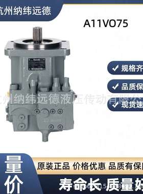A11VO75LRDS/10R-NSD12N00-S R902155690 力士乐 轴向 柱塞泵原厂