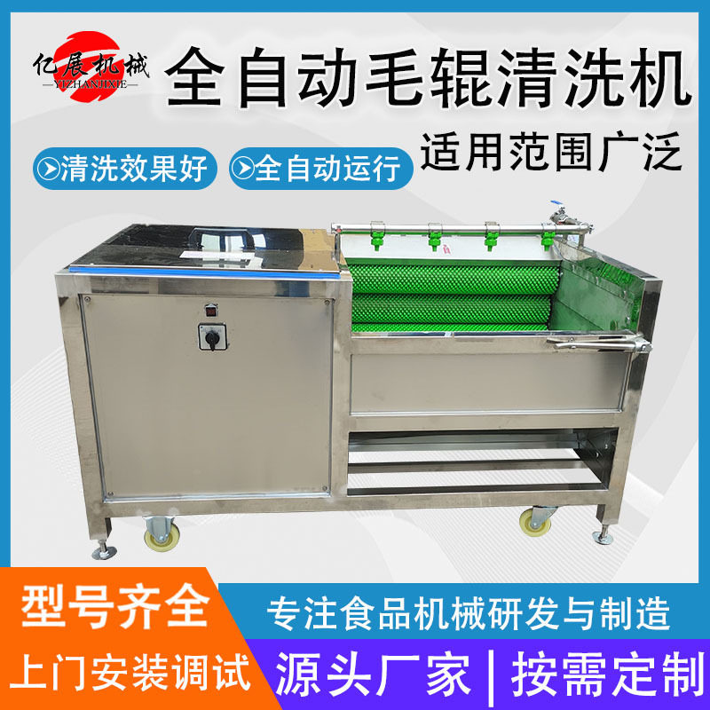 毛辊清洗机小型甘蔗土豆红薯毛刷去皮机洗菜机全自动清洗