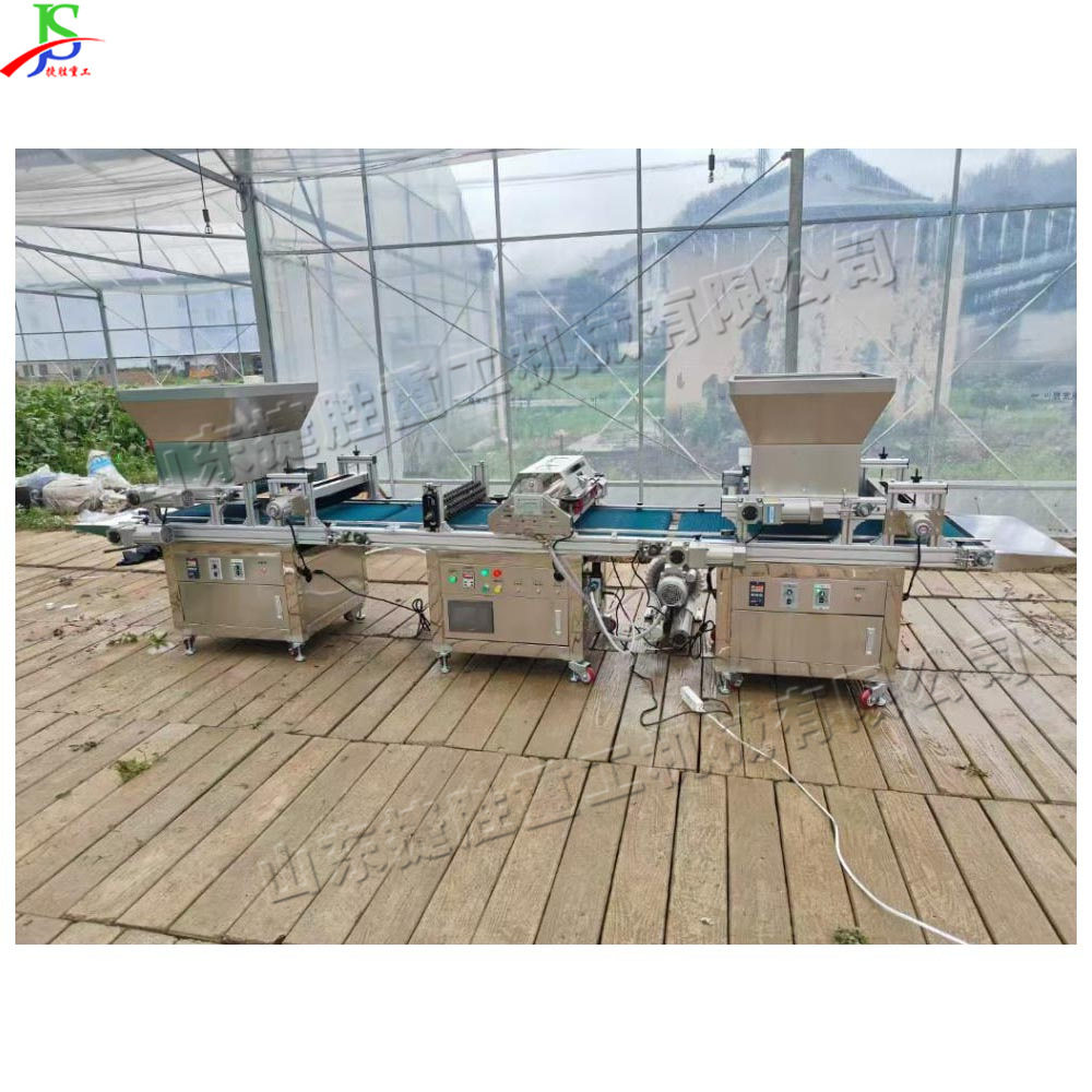 全自动蔬菜种点穴机电气混合穴盘播种机穴盘育苗定量点播机