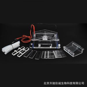 DYCP-31A型琼脂糖水平电泳仪(微型)六一仪器