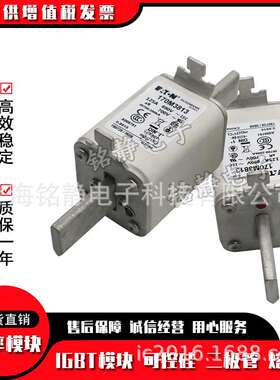 170M3664 170M3665 170M3666 170M3667巴斯曼熔断器现货170M3668
