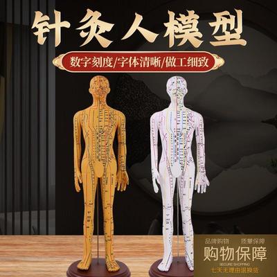 中医针灸穴位模型全身s家用十二经络人体模型可扎针小铜皮人