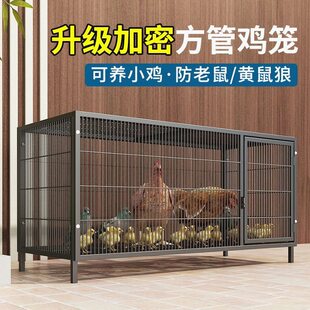鸡下蛋的笼子家用加粗大号养殖笼折叠鸭笼鹅笼狗V笼自动滚蛋鸡笼