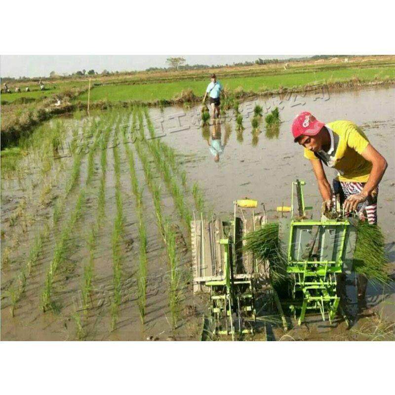 越南小型手摇式插秧机农用水稻栽苗机双行人力步退式秧苗种植机