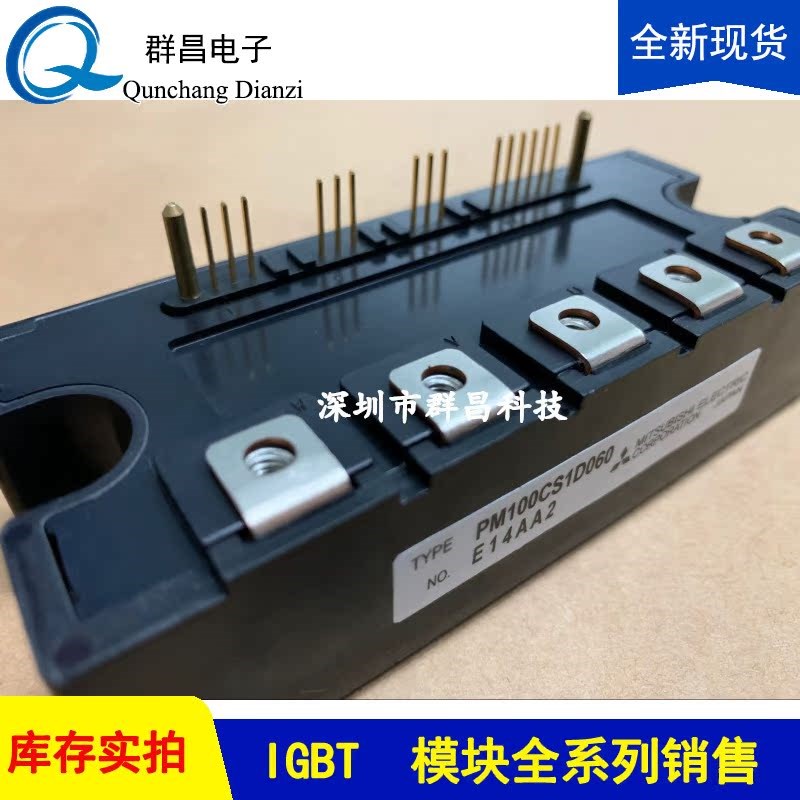 PM150bCSD060 PM100CS1D060 PM50CS1E060 PM75CS1E060 PM200CS1D0