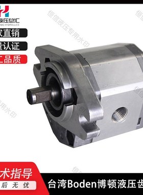新款博顿液压油泵Boden齿轮泵BKP0.5 zBKP1 BAP1B0 BHP2B0 BAP2 B