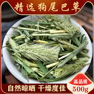野生狗尾巴草新鲜中药材500g特级狗尾草干毛虫草谷莠子九尾草饲料