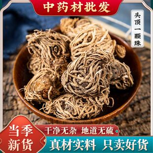 头顶一颗珠中药材 芋儿七 蛇头草 蜂斗菜 狮儿七 玉儿七 佛手七饲