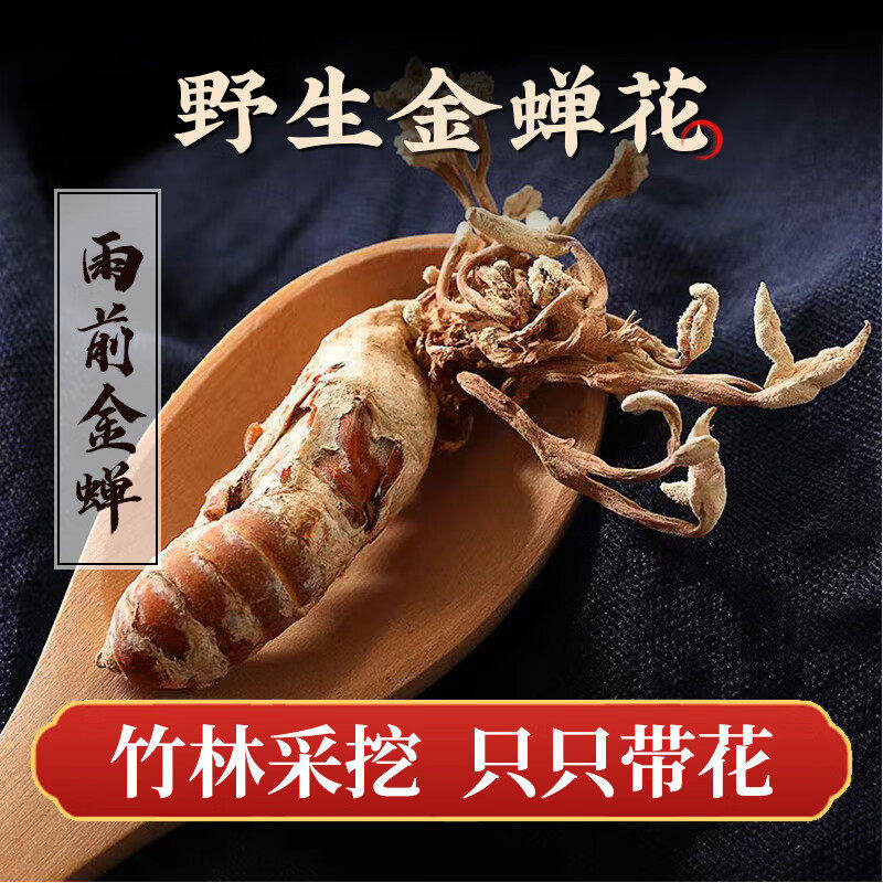 金蝉花野生500g中药材新鲜原料黄蝉花虫草孢子粉知了花金蚕花饲料
