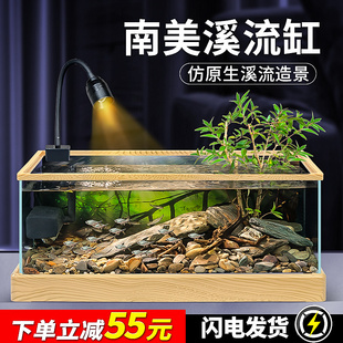 新款 玻璃鱼缸原生南美溪流缸造景家用客厅小型金鱼缸生态龟缸