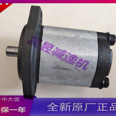 KLS楷来盛齿轮泵 2GG1P22R 1GG1P05R 1MAG1P08R 液压油泵电动机