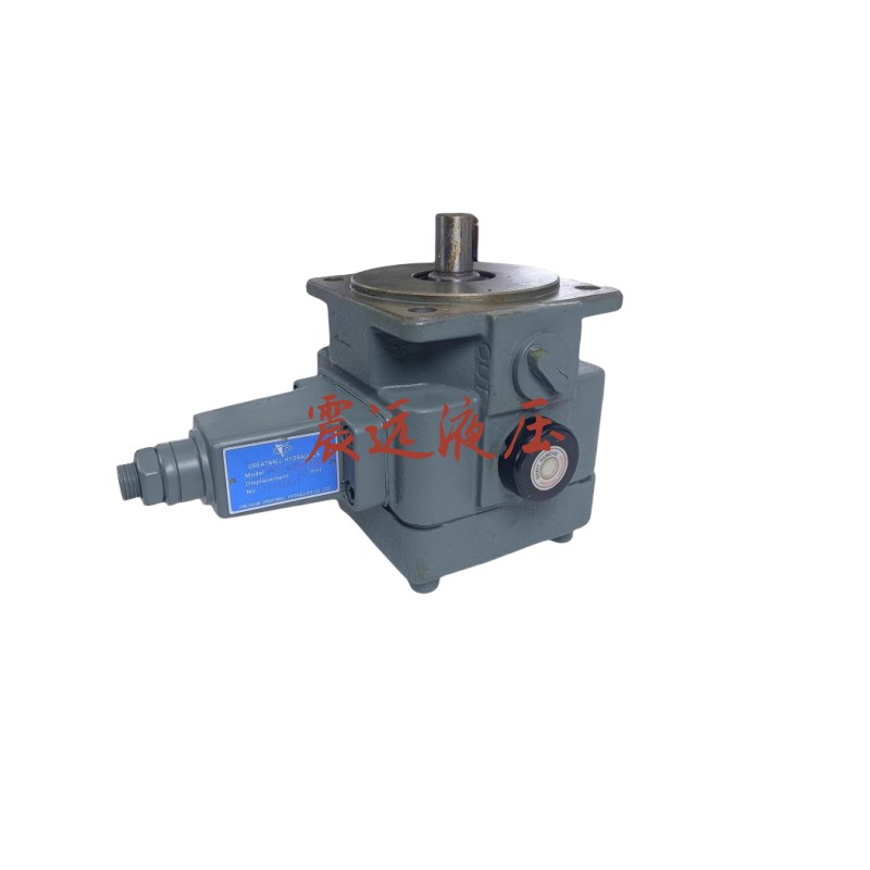 液压油泵叶片泵1PV2V5-30/t16RE01MC /63/25RA01MC100A1船舶泵