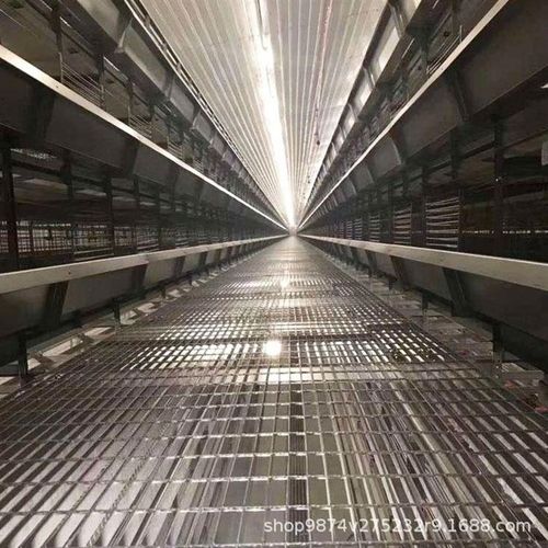 河南养鸡设备厂h家 自动化蛋鸡养殖设备 大型4层立体养鸡铁网篮子