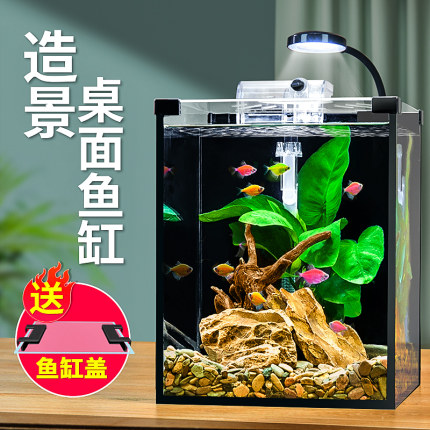 超白玻璃鱼缸家用客厅新款桌面小型斗鱼全套生态造景自循环水草缸