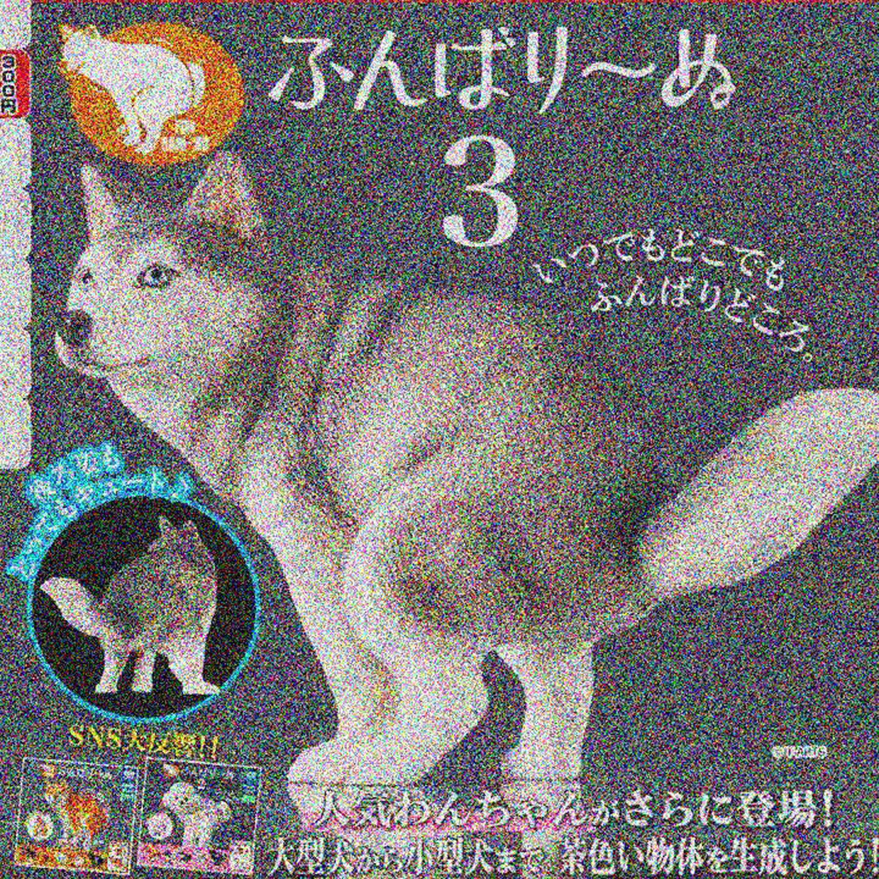 【入魂】预售扭蛋  拉便便的小狗蹲着拉屎哈士奇柯基摆件第3