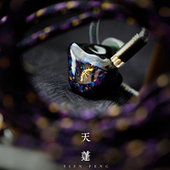 混合入耳式 唐族天蓬·归来 1圈6铁1骨传导单元 HIFI耳机