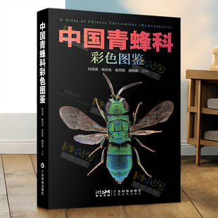 青蜂科不同分类阶元 附有我国分布 图文式 检索表 简要特征图及动物区系分布等信息 中国青蜂科彩色图鉴 各个种类 27属180种