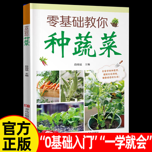 正版 蔬菜种植经验书籍 零基础教你种蔬菜技术图解 手绘图解低成本清单 在家种蔬菜播种种植搭架追肥整枝采收摘心操作指南手册