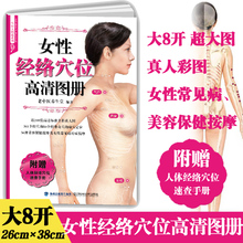 正版 8开 女性经络穴位高清图册（穴位大图说系列）穴位图人体经络穴位图穴位按摩书养生书籍 女性经络穴位按摩大全