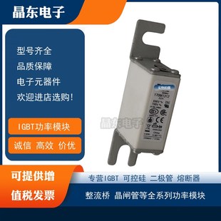 170M1321 170M1320 170M1322熔Z断器保险丝 170M1319 170M1318