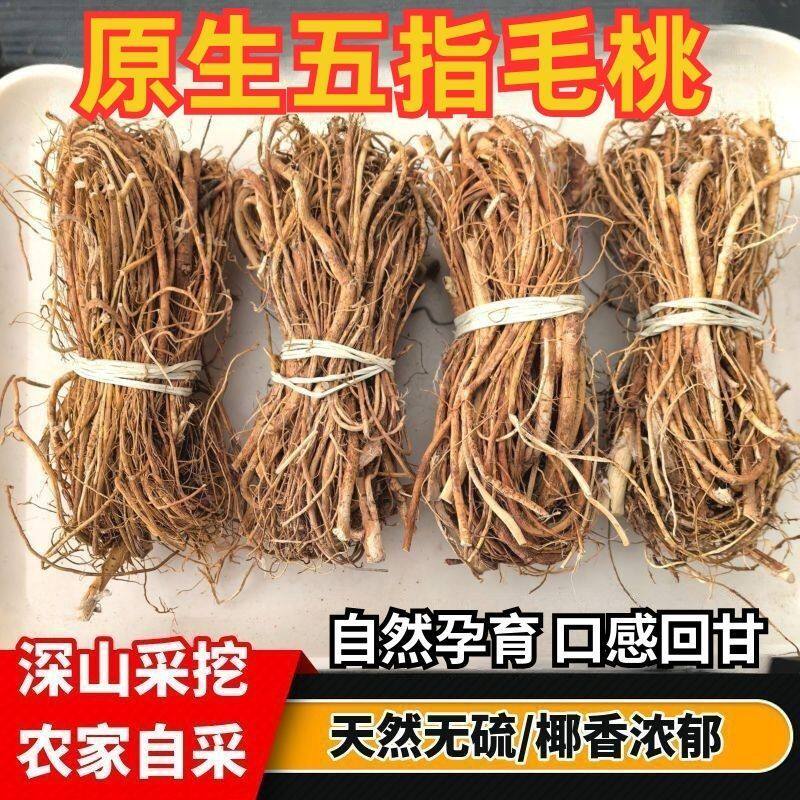 广东无硫五指毛桃根正宗野生干货牛奶根五爪龙健脾祛湿煲汤材料