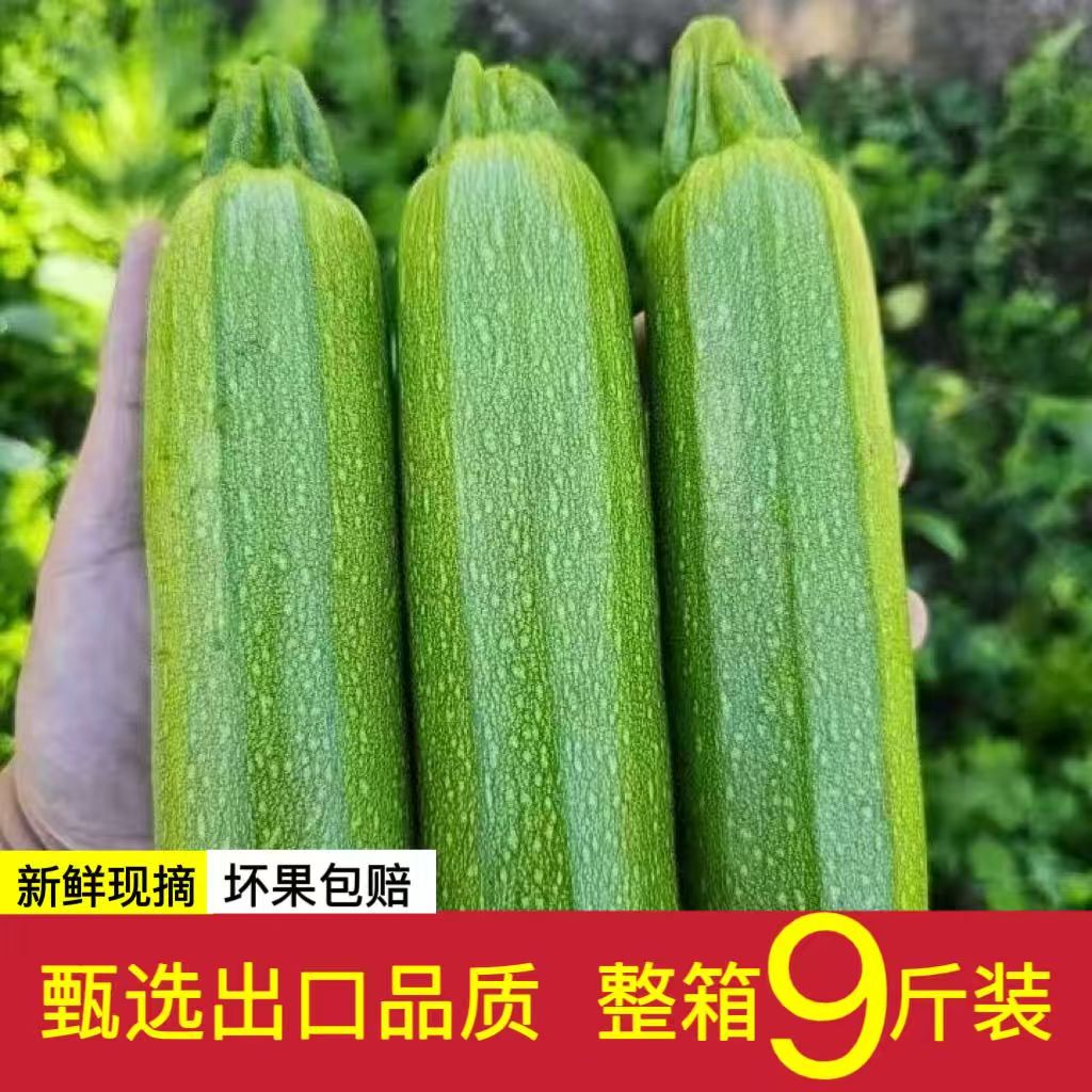 农家种植云南产地直发5斤9斤