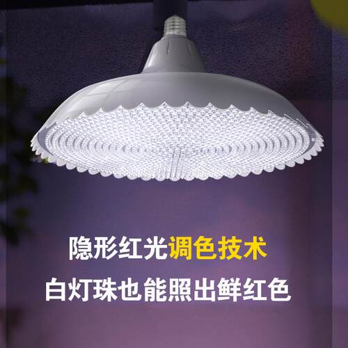660珠-918珠-1248珠隐形红款