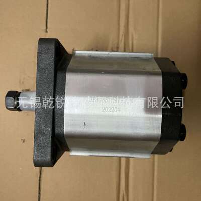 SN-14-06-13820齿轮泵含税运