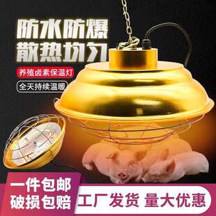 保温灯泡养殖场专用卤素保温灯猪用仔猪育雏鸡节能灯可调温带灯罩