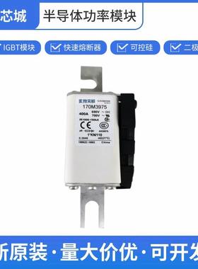 170M3975限流式熔断器保险丝巴斯曼原装进口批次22+