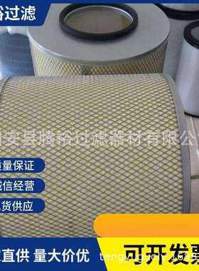 现货P031593水溶性油滤芯P031594油雾过滤器油雾滤芯