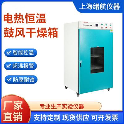 鼓风干燥箱DHG-9620A高温数显烘干箱立式电热恒温热风循环干燥箱