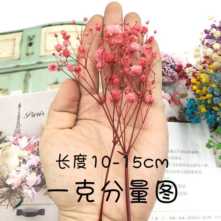 永生花DIY材料包1g渐变大头满天星百万星干花花束永生花保鲜花