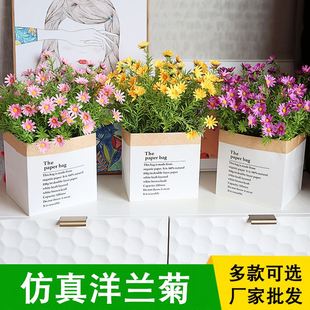 饰摆件卧室干花束塑料盆栽 洋甘菊假花仿真花摆设客厅餐桌面花艺装