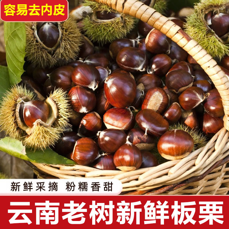 板栗新鲜生栗子5斤农家现摘当季油栗子毛栗子鲜板粟野生栗子3