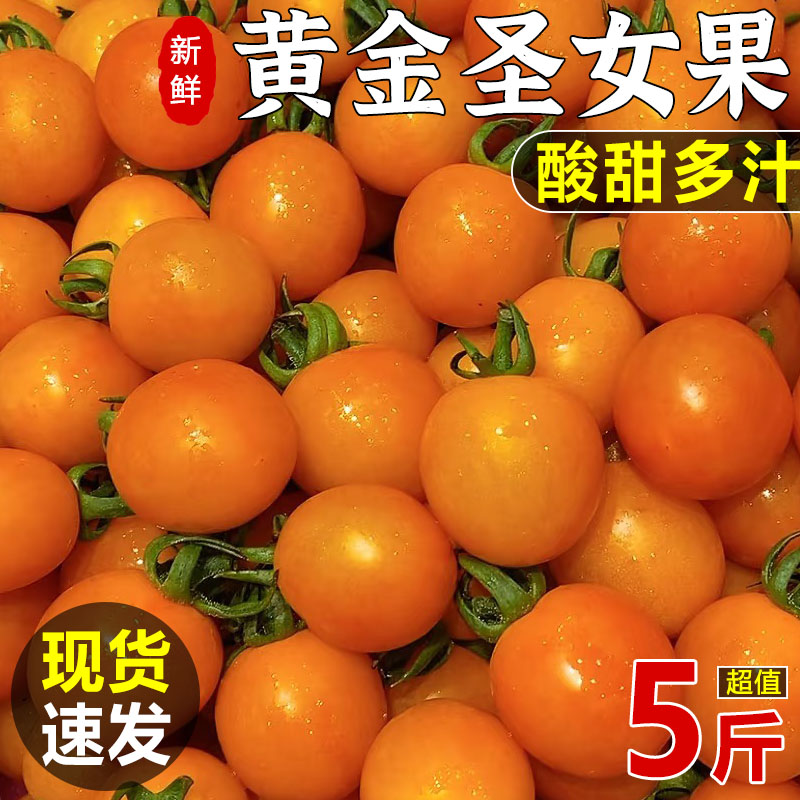 新鲜黄金圣女果5斤樱桃千禧小番茄水果自然熟黄色西红柿现摘整箱