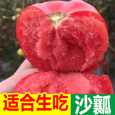 正宗新疆品种自然熟沙瓤西红柿9斤普罗旺斯现摘新鲜水果蔬菜番茄