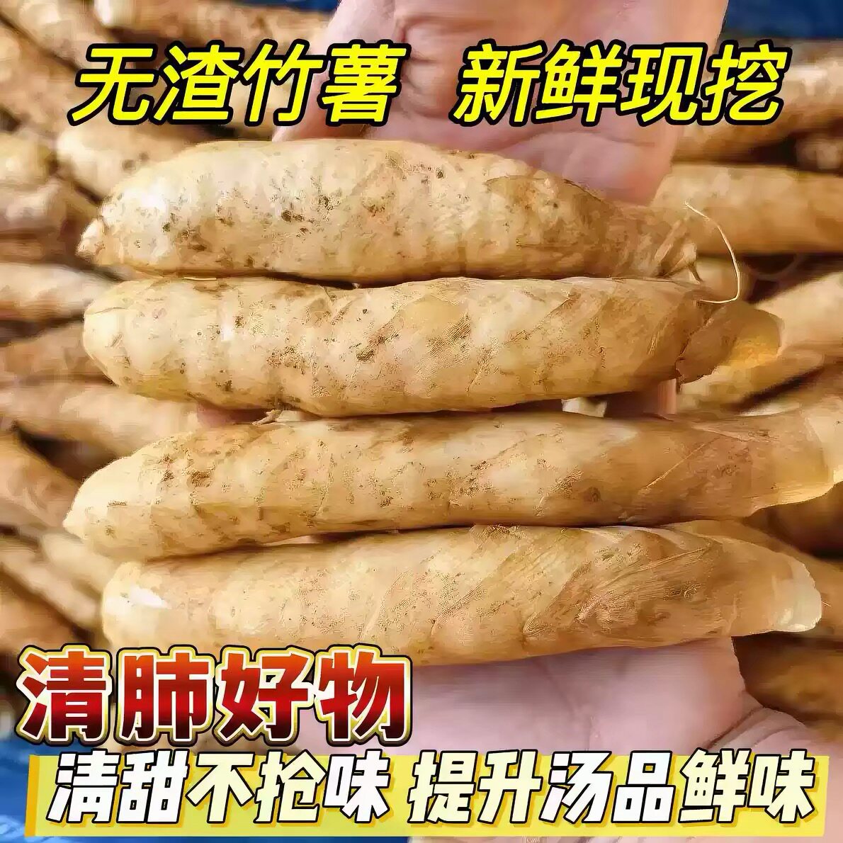 广东茂名新鲜竹薯香煎竹芋带皮冬粉薯火锅食材苓薯农场直发